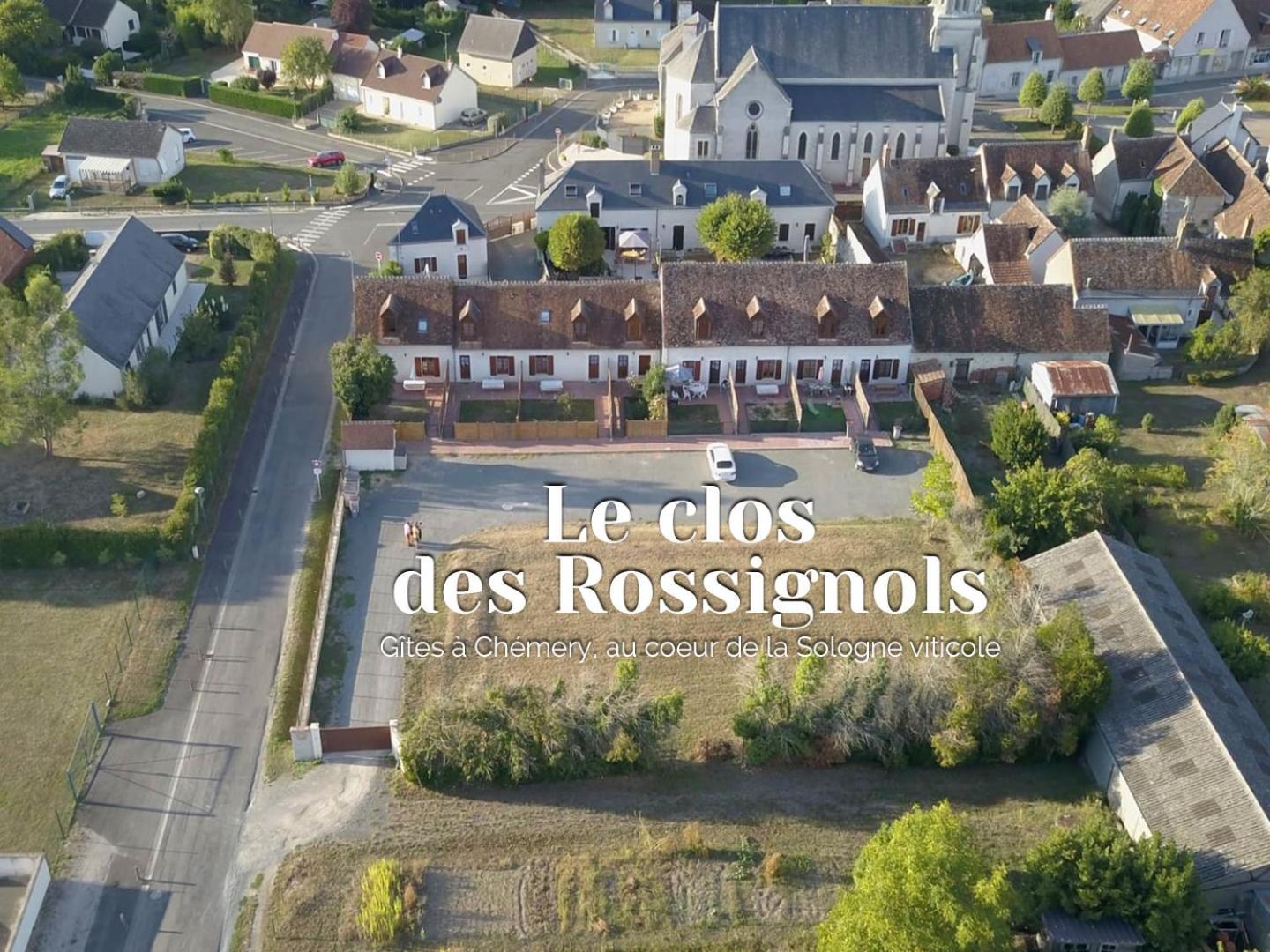 Willa Les Terrasses Des Rossignols Chémery Zewnętrze zdjęcie